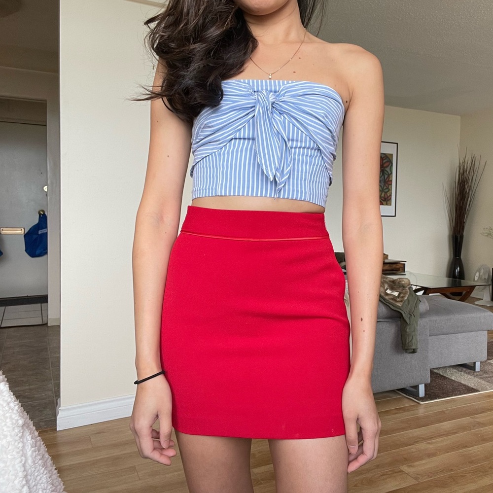 Aritzia Babaton Skirt